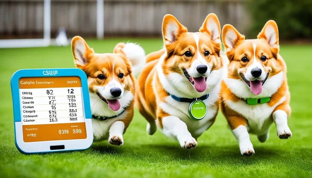 Corgi Calorie Calculation Corgi Calorie Calculation