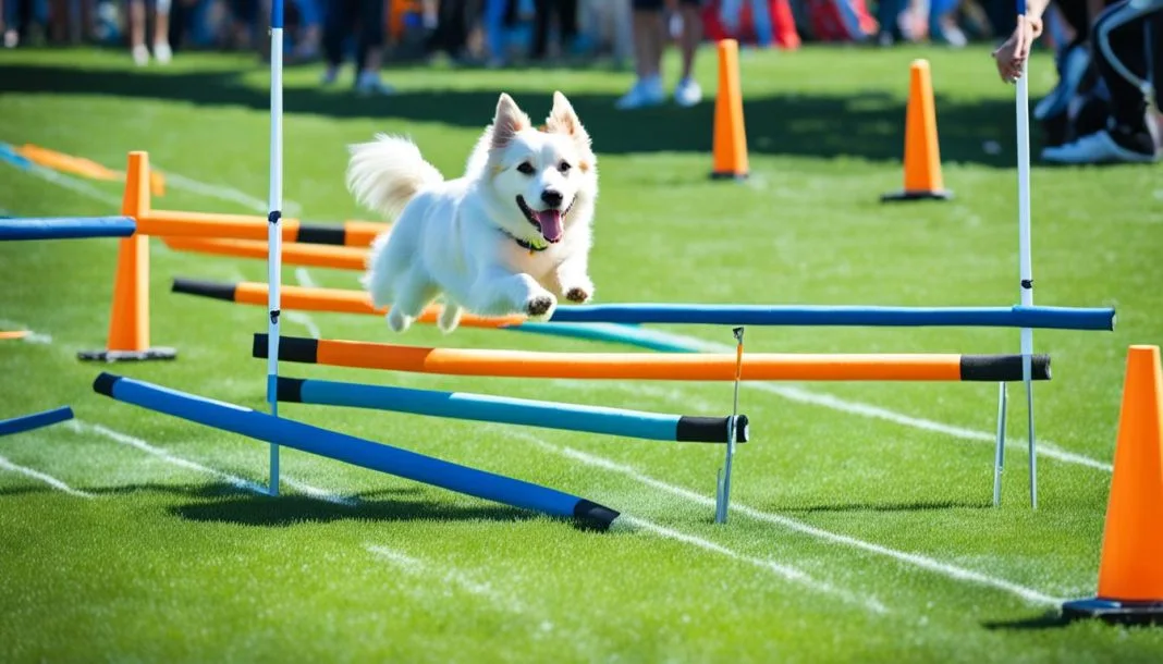 7 Top Local Agility Events for Your Pup