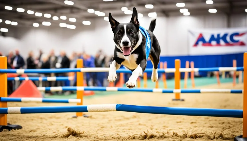 AKC Agility Premier Cup