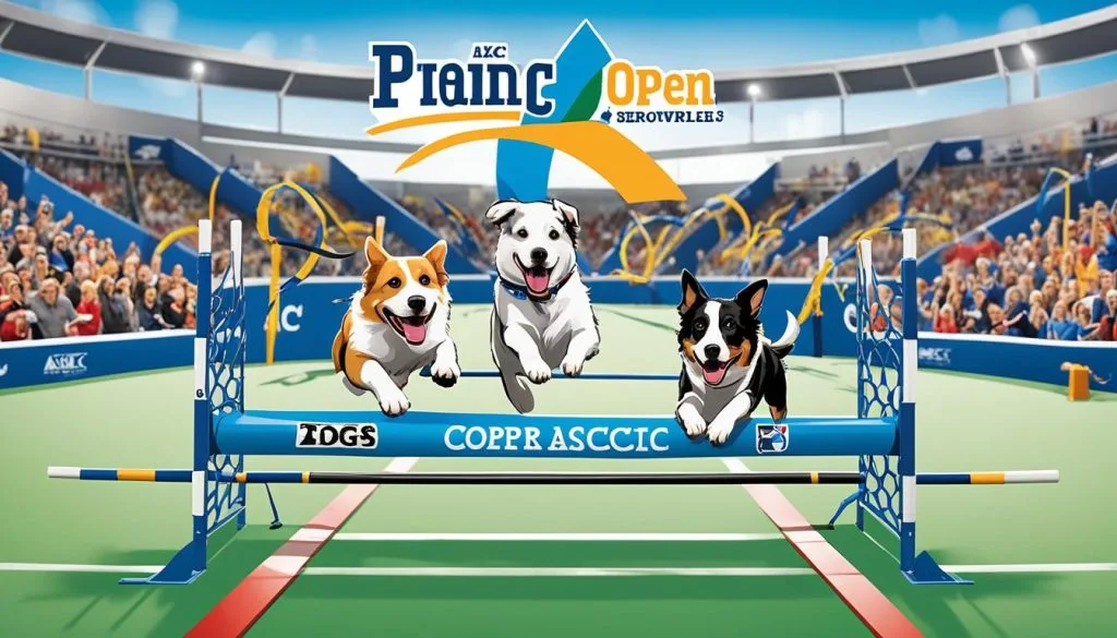 AKC Senior Open Agility World Team