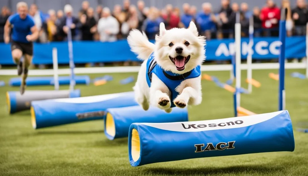 AKC World Team Tryouts
