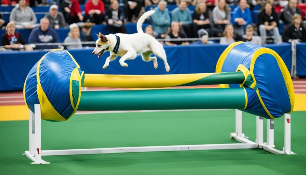 agility scoring
